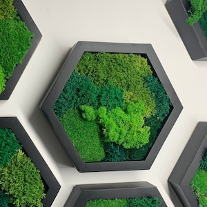 Hexagon Moss Wall Art Decor Etsy Art Wall Opknoping Handgemaakt Decor Plant Muur Groen Thuiskantoor Custom Unieke Handgemaakte Cadeaus