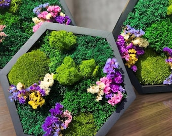 Regalos corporativos de lujo con flores secas y musgo preservado, Moosbild, Decoración del hogar