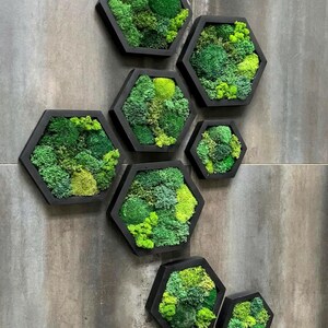 May include: A collection of seven hexagonal wall art pieces featuring black frames filled with preserved moss in various shades of vibrant green, ranging from lime to deep forest tones, arranged in a cluster on a gray tiled surface.