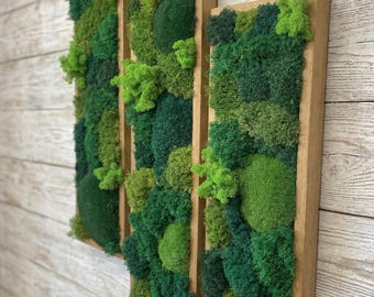 Panel vertical de musgo, decoración de interiores con musgo preservado, Moosbild, muebles para el hogar