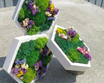 Arte mural de musgo preservado con flores secas, productos ecológicos.