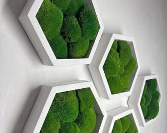 Arte de pared de musgo preservado, regalo de inauguración de la casa, musgo hexagonal, calidad de lujo