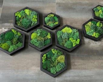 Arte mural hexagonal de musgo en marco de madera, muebles de lujo para el hogar, decoración que te llena de dopamina