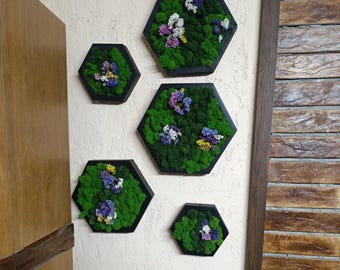Arte de pared de musgo hexagonal con flores secas, Moosbild, Dopamine Decor