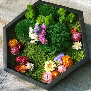 Hexagon Moss Wall Art with Flowers – Handmade Botanical Decor – Perfect Gift Idea