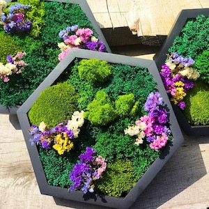 Moss Flower Hexagon Wall Panels – Handmade Preserved Moss Art | Living Wall Decor | Honeycomb Moss Gift | Eco-Friendly Biophilic Design