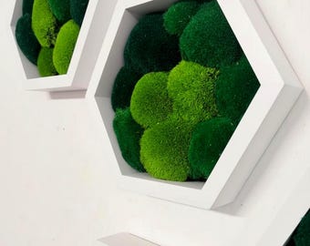 Muebles de lujo para el hogar, Arte mural de musgo preservado, Regalos para empleados de oficina, Moosbilld