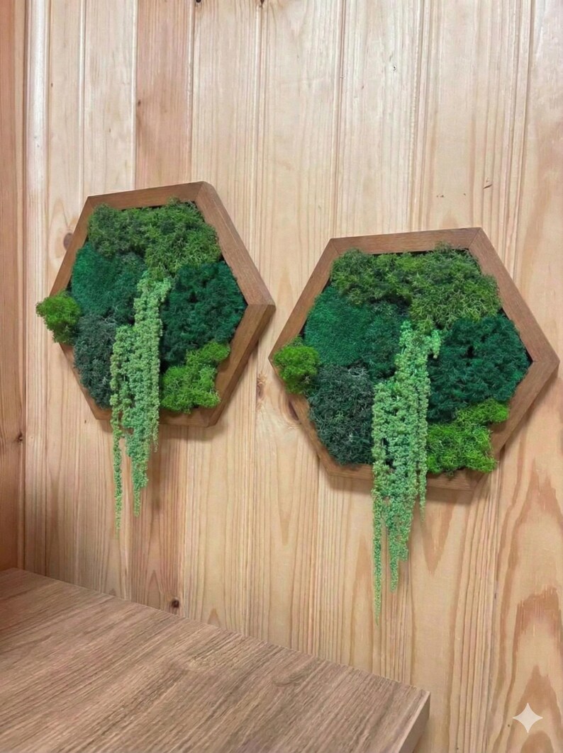 Two hexagonal botanical wall art panels in brown frames featuring preserved green moss and hanging amaranth, displayed on a natural wooden slat background.