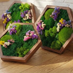 Three handcrafted hexagonal botanical wall art pieces in brown alder wood frames, resting on a wooden floor. Each panel features vibrant preserved green moss and clusters of purple, pink, and yellow flowers.