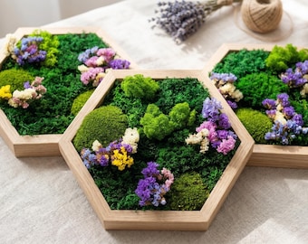 Flores secas con musgo preservado para decoración de pared, decoración Dopamine, Moosbild kaufen