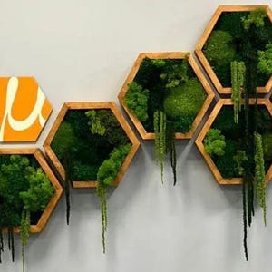 Decorative wall display combining hexagonal preserved moss panels with hanging amaranth in brown frames, interspersed with solid orange hexagonal panels featuring a white design.