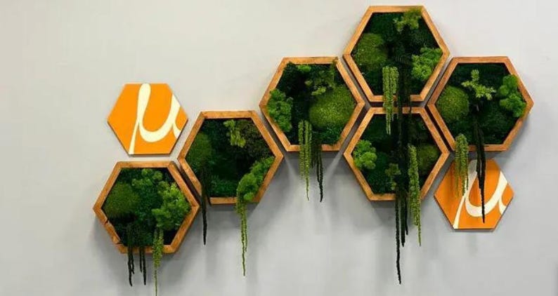 Decorative wall display combining hexagonal preserved moss panels with hanging amaranth in brown frames, interspersed with solid orange hexagonal panels featuring a white design.