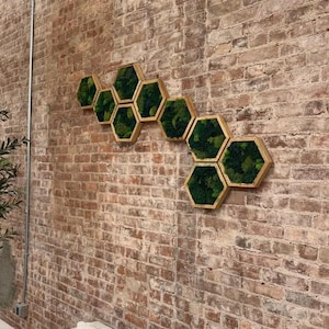 Painéis de parede hexagonais de musgo feitos com musgo real, sem necessidade de manutenção, parede "viva" de musgo, mistura de musgo, arte de parede de musgo em formato de favo de mel