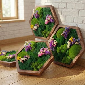 May include: Hexagonal wall art featuring preserved moss and dried flowers. The wooden frames contain green moss, complemented by pink, purple, and yellow flowers. These decorative pieces bring a natural element to any room, with each frame measuring approximately 30 cm across.