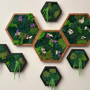Close-up of an asymmetrical wall display featuring eight hexagonal moss art panels in brown and black frames, decorated with preserved green moss, delicate flowers, and amaranth.