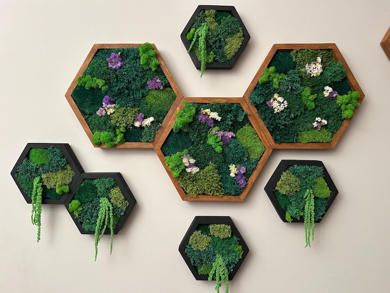Close-up of an asymmetrical wall display featuring eight hexagonal moss art panels in brown and black frames, decorated with preserved green moss, delicate flowers, and amaranth.