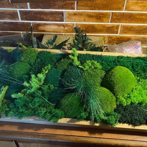 Moss Wall Art with Preserved moss in a wooden frame,Living moss wall art decor,Luxury moss wall art decor