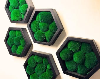 Decoración de pared para oficina con musgo de cojín preservado, decoración Dopamine, Moosbild
