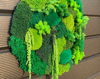 Cuadro redondo de musgo con plantas preservadas, Moosbild