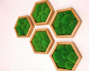 Arte de pared hexagonal de musgo, decoración de cojín con musgo preservado, sin mantenimiento.