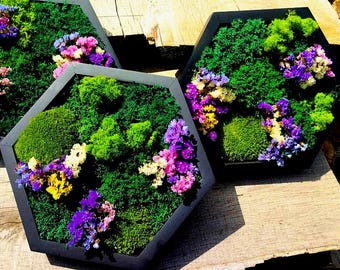 Arte mural de musgo con flores secas, Decoración de lujo para el hogar, Productos ecológicos