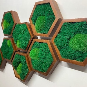 Moss Hexagon Wall Art,Requires no maintenance,Great wall decor idea
