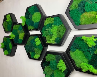 Moss Hexagon Wall Art Panel, Ideal Home furnishings, Luxury corporate gifts, Moosbild