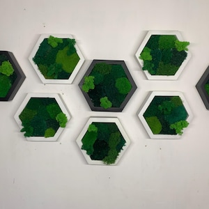 Moss wall art  hexagon in wooden frame, Moss wall decor for home,Wooden honeycombs with preserved moss,Nature Green moss design living art