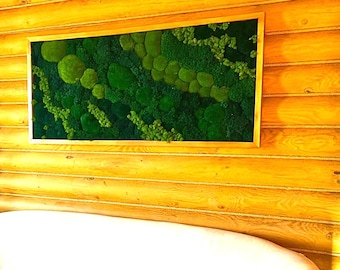 Cuadros de musgo en marco de madera, Arte mural de musgo preservado, Moosbild