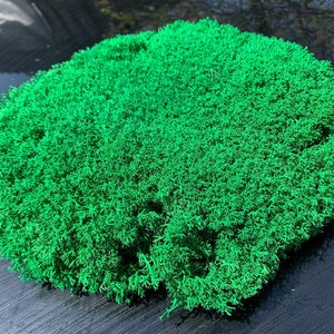 Preserved Moss, Stabilized Moss, Sleeping Natural Moss, Moss Wall Art, Balls Mos,s Pillows DIY Crafts, Moss Wall Decor.