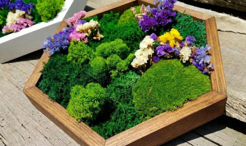 Macro shot of a single hexagonal botanical art piece in a natural brown wooden frame, highlighting the rich textures of green reindeer moss and vibrant dried flowers in purple, yellow, and white.
