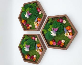 Flores secas en hexágono de madera, Arte mural de musgo preservado, Comprar Moosbild