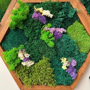 Top-down macro shot of a hexagonal moss art piece in a brown frame, showcasing the intricate texture of green moss and clusters of purple, white, and yellow dried flowers.