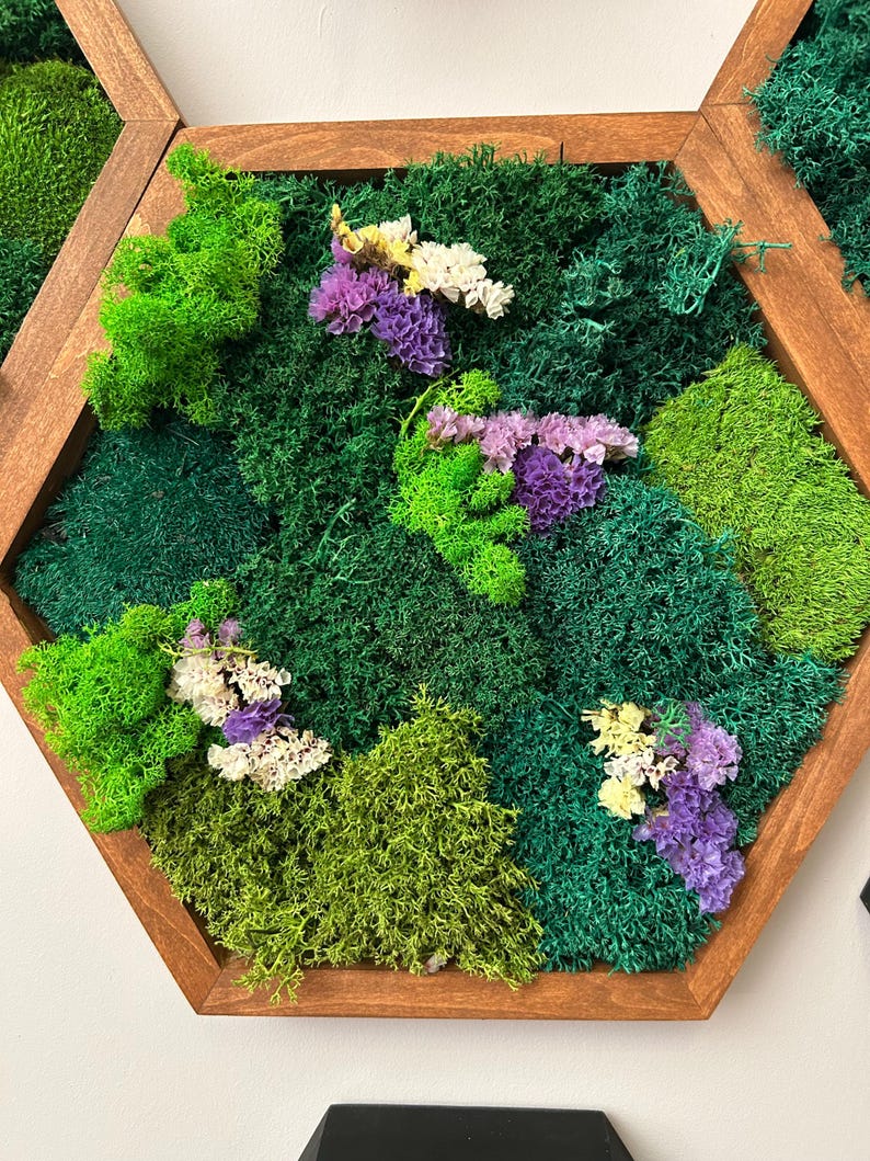 Top-down macro shot of a hexagonal moss art piece in a brown frame, showcasing the intricate texture of green moss and clusters of purple, white, and yellow dried flowers.