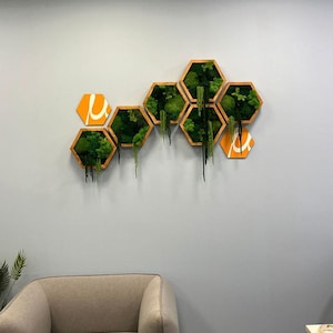 Moss zeshoekige wandpanelen gemaakt met echt mos Geen onderhoud vereist Mos "levende" muur, mosmix, mos Zeshoek mos honingraat mos kunst aan de muur