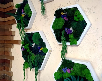 Decoración de pared personalizada con musgo, tú diseñas, nosotros creamos, regalos de inauguración de casa y regalos corporativos de lujo.