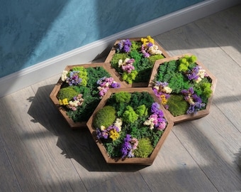 Decoración Dopamine 4+1 GRATIS, Arte con musgo y flores secas, Comprar Moosbild, Decoración de pared para interiores