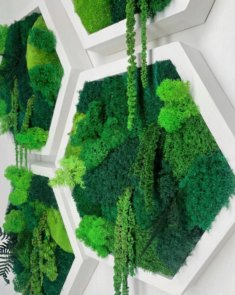 Angled close-up of white hexagonal wooden frames filled with vibrant green preserved reindeer moss and textured hanging amaranth against a white wall.