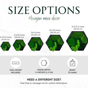 May include: Five hexagon moss decor pieces with black frames in sizes ranging from 6.7x8.3 inches to 12.3x13.5 inches. Includes icons for wall mount, 1.4 inches frame depth, and ready to hang status. Text reads SIZE OPTIONS and Hexagon moss decor.