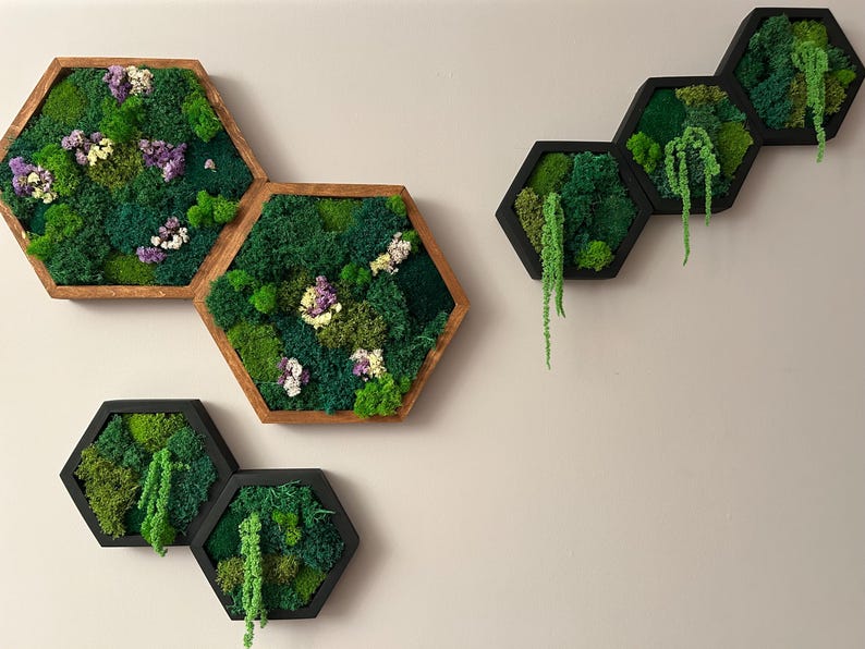 Wall decor composition featuring hexagonal preserved moss art. The left group in brown frames includes colorful dried flowers, while the right group in black frames features green moss and hanging amaranth.