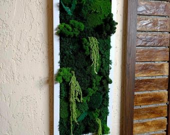 Paneles de pared de musgo vertical, Moosbild, Decoración de lujo para el hogar