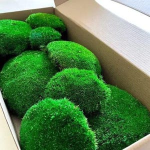 Preserved pillow moss for moss wall art and Moss art DIY, Green moss bowl, real moss for moss decor or terrarium