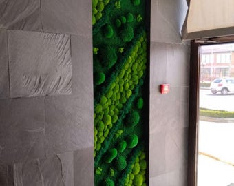 Extra grote geconserveerde moskunst aan de muur, botanisch groenarrangement voor entree, housewarmingcadeau