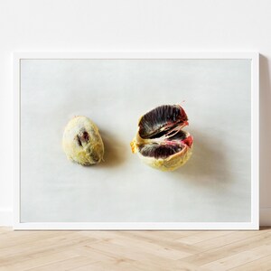 Blood Orange 2, Photo Print