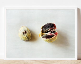 Blood Orange 2, Matte Photo Print
