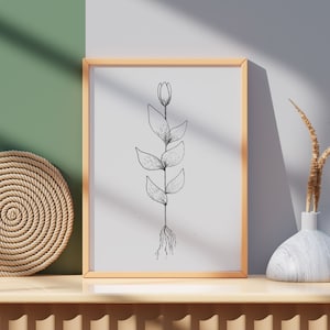 Dibujo de línea botánica / Capullo de flor con raíces / Vegetación minimalista / Bosquejo de follaje / Tallos simplistas / Diseño de línea frondosa / Blanco y negro