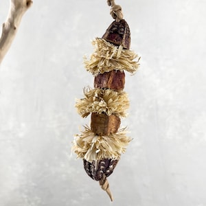 Pom Cheer - Natural bird chew toy for small and medium parrots, preening toy for bird, Budgie, Parakeet, Cockatiel, Lovebird, Caique, Conure