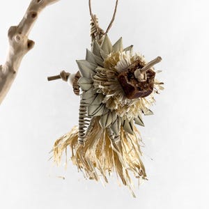 Natural Wood Bird Toy for Foraging and Preening | Small Parrot Chew Toy for Parakeets, Parrotlets, Conures | Parrot Enrichment | Crazy Daisy