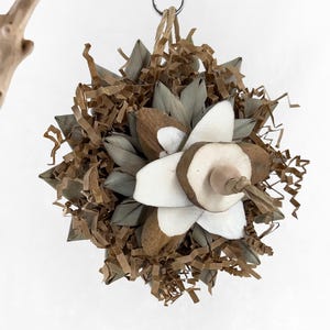 All Natural Palm Shredder | Foraging Bird Toy | Sola Bird Toy for Parakeet, Parrotlet, Lovebird | Non-Toxic Small Parrot Toy | Crinkle Bloom