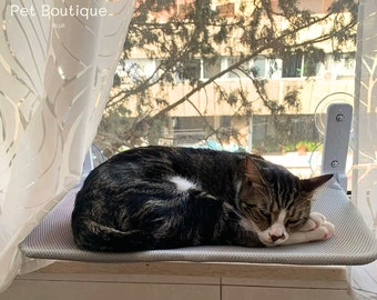 Hamac avec fenêtre pour chat, étagère pour chat, mur de meubles pour chat, hamac pour animal de compagnie